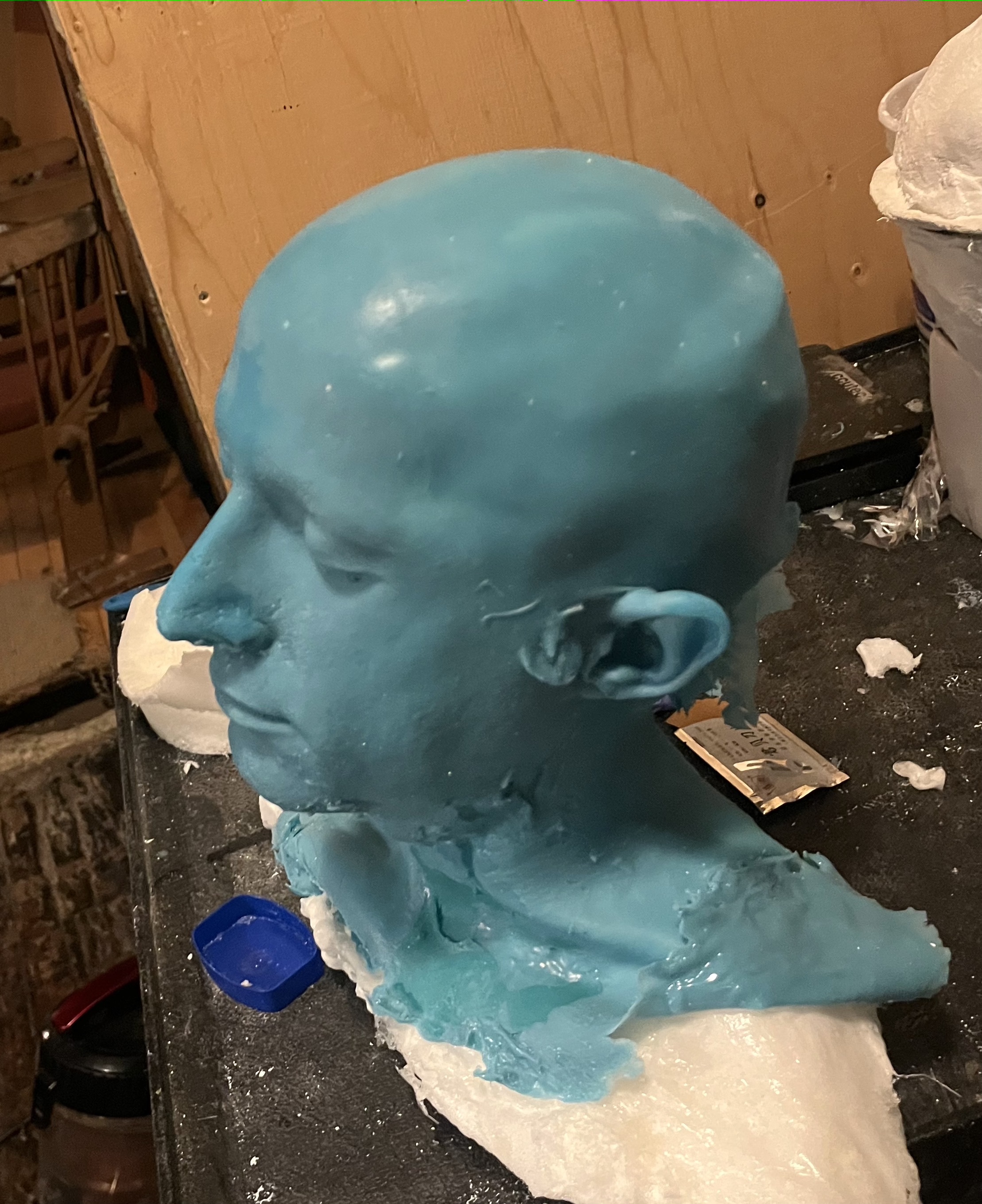 Silicone mold head lifecast